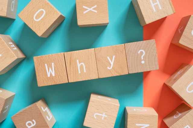 犬がカリカリを食べないのはなぜ？