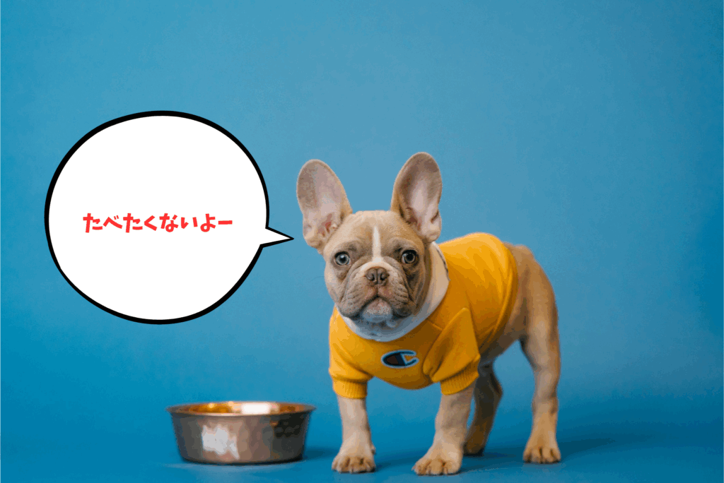 愛犬がカリカリを食べない…でもウェットなら食べる？原因と正しいフード選びのコツを解説！