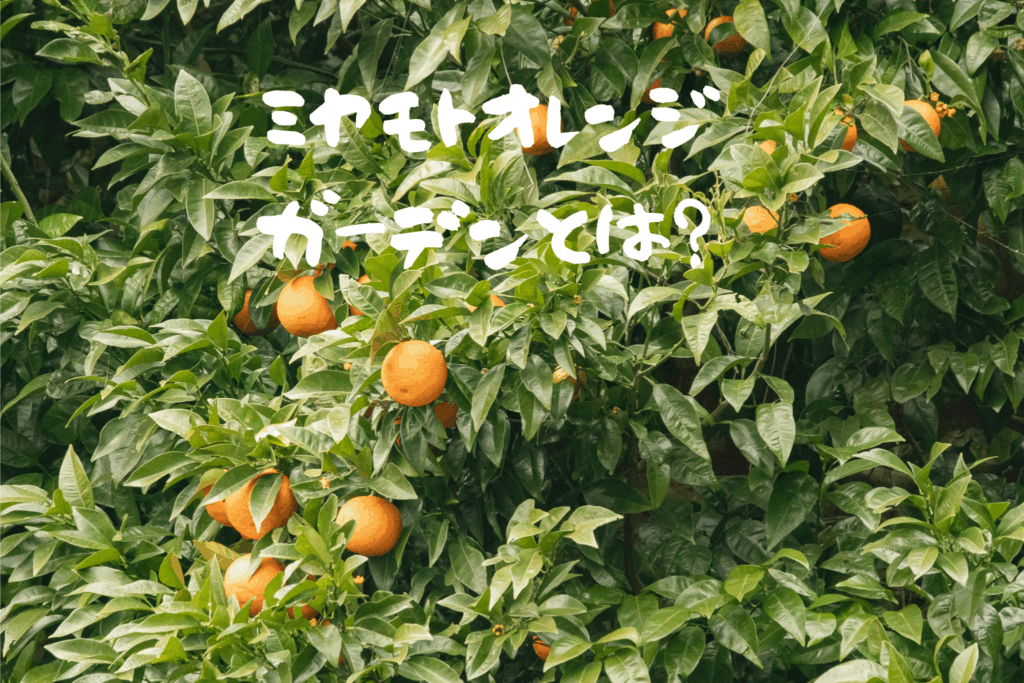 ミヤモトオレンジガーデンの社長・宮本泰邦氏とは？愛媛みかん農業を革新する経営者の秘密