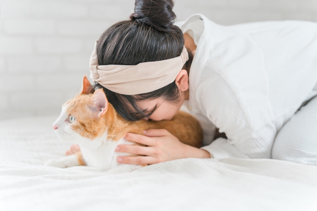 猫に安全なハンドクリームの選び方