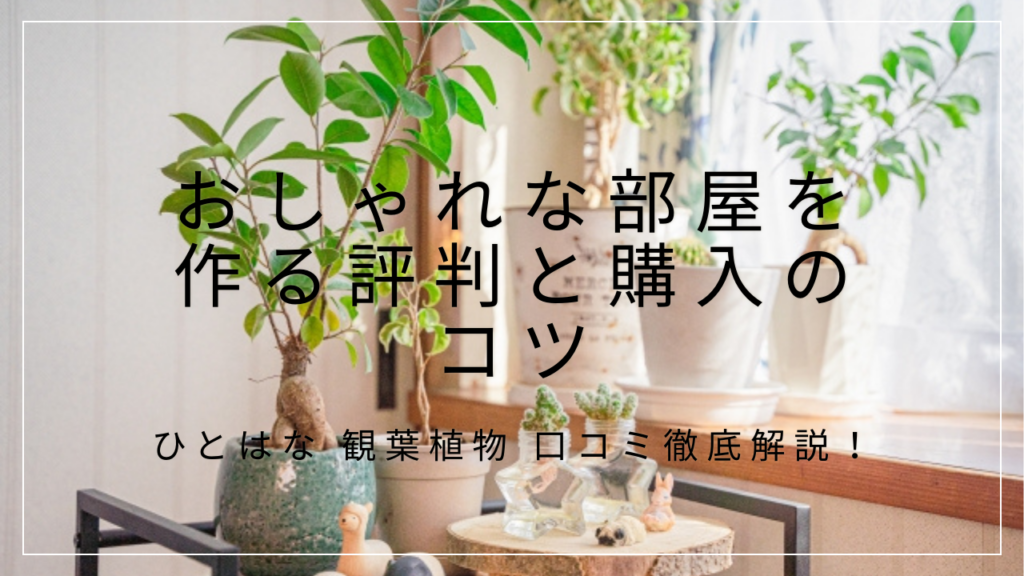 ひとはな 観葉植物 口コミ徹底解説！おしゃれな部屋を作る評判と購入のコツ